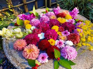 能満寺の参拝記録(ゆきむらさん)