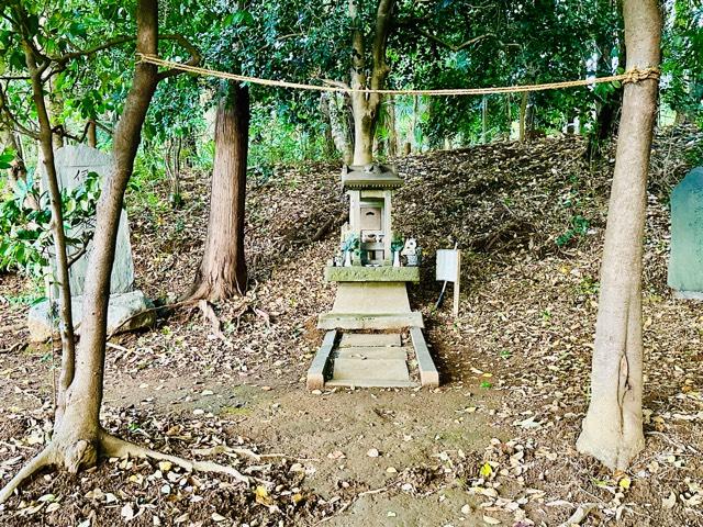 東京都世田谷区大蔵４丁目６ 武蔵御嶽神社の写真1