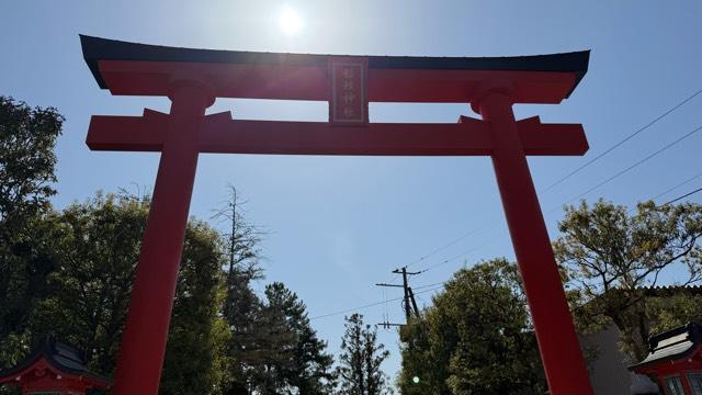 稲荷社（稲積神社境内社）の参拝記録2