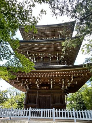 豊嶋山無量院道場寺の参拝記録(こうさん)