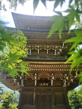 豊嶋山無量院道場寺の参拝記録(サヨナラ王子さん)