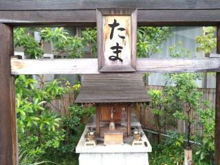 たま神社の参拝記録(yukiさん)