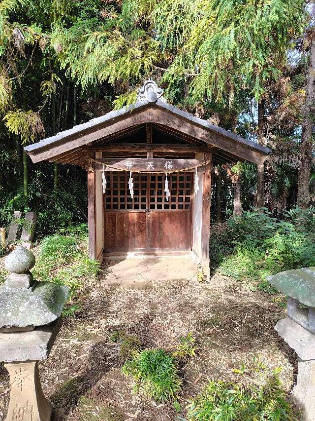 埼玉県深谷市岡3354 弁天様(島護産泰神社境内)の写真2