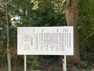 照天神社の参拝記録(カレーライス倶楽部さん)