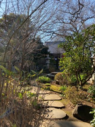 慈雲山　曼荼羅寺　観蔵院（かんぞういん）の参拝記録(わこちゃんさん)