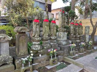 慈雲山　曼荼羅寺　観蔵院（かんぞういん）の参拝記録(わこちゃんさん)