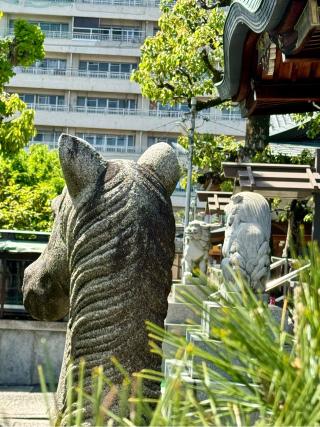 松尾神社の参拝記録(さくらさん)