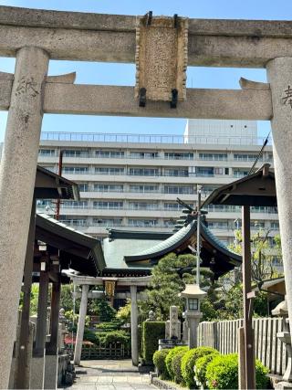 松尾神社の参拝記録(さくらさん)