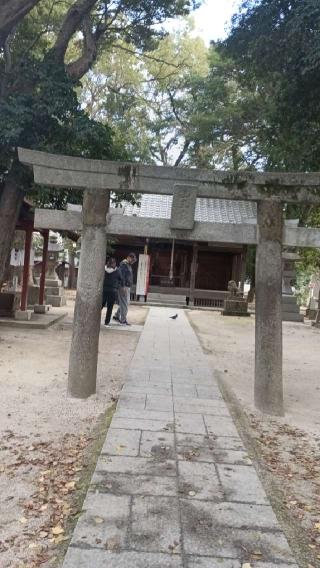 清水日吉神社の参拝記録(96さん)