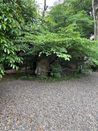 随神（武蔵野八幡宮境内碑）の参拝記録(⛩️🎠🐢まめ🐢🎠⛩️さん)