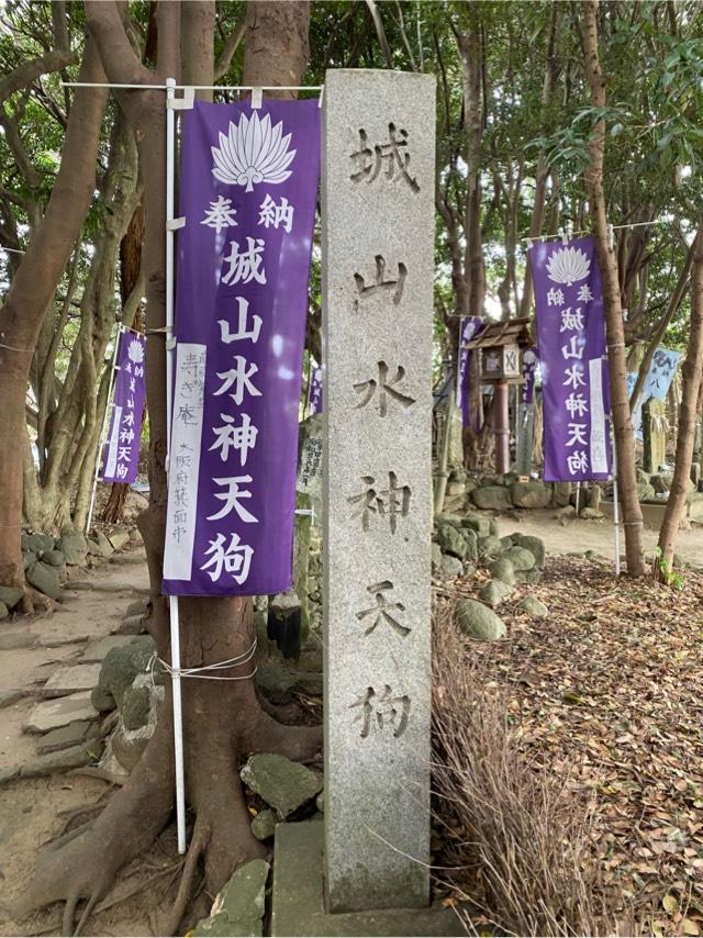 城山水神天狗の参拝記録3