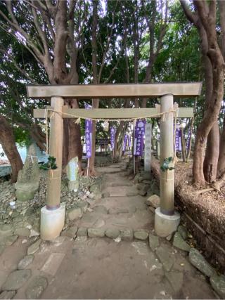 城山水神天狗の参拝記録(二代目無宿さん)