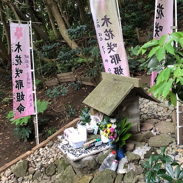 木花咲耶姫命を祀る祠（浅間神社）の参拝記録3