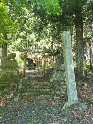 近津神社の参拝記録(さとみさん)