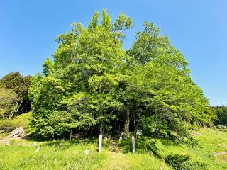 鏡山温泉(上の宮)神社の参拝記録(shikigami_hさん)