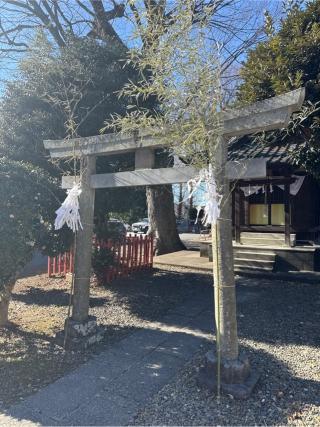 大杉神社（幸宮神社境内）の参拝記録(⛩️🎠🐢まめ🐢🎠⛩️さん)