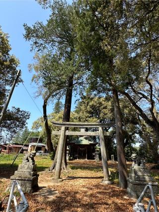 大豆田湯泉神社の参拝記録(shikigami_hさん)