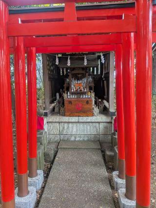 稲荷神社（下高井戸八幡神社境内社）の参拝記録(はくすみさん)