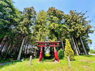 諏訪神社の参拝記録(shikigami_hさん)