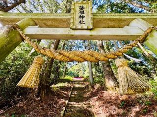 箒根神社の参拝記録(shikigami_hさん)