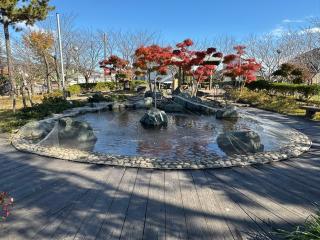 水神様（吾妻神社境内社）の参拝記録(こーちんさん)