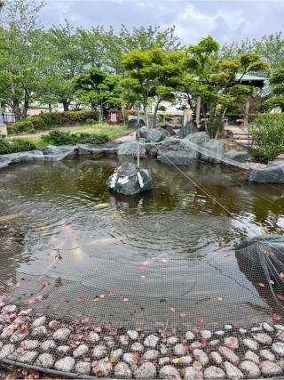 水神様（吾妻神社境内社）の参拝記録(⛩️🐍🐢まめ🐢🐍⛩️さん)