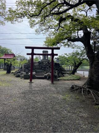 富士浅間大神（吾妻神社境内社）の参拝記録(⛩️🐍🐢まめ🐢🐍⛩️さん)