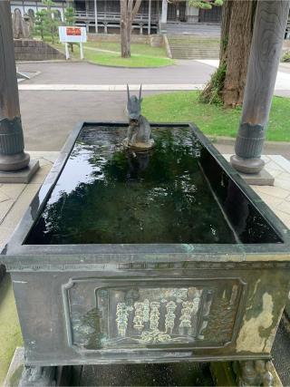 高龍寺の参拝記録(DAISANさん)