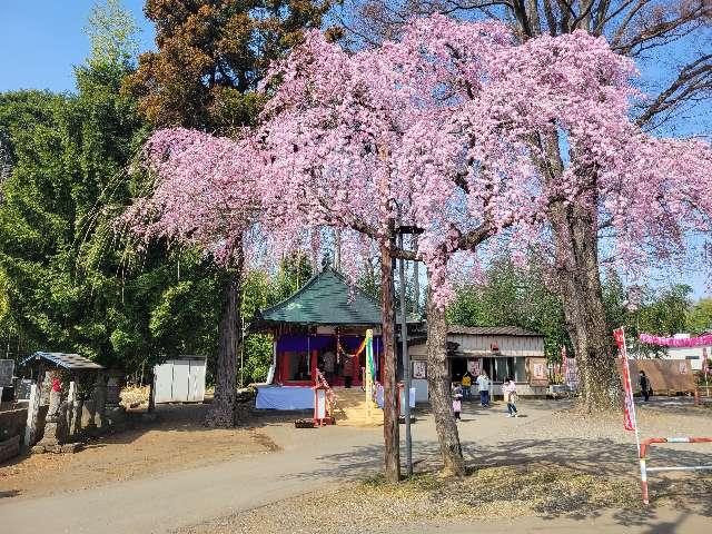 茨城県古河市葛生１６５-４ 葛生山 真如院の写真2