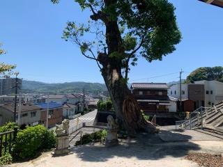 道善天神社の参拝記録(カレーライス倶楽部さん)