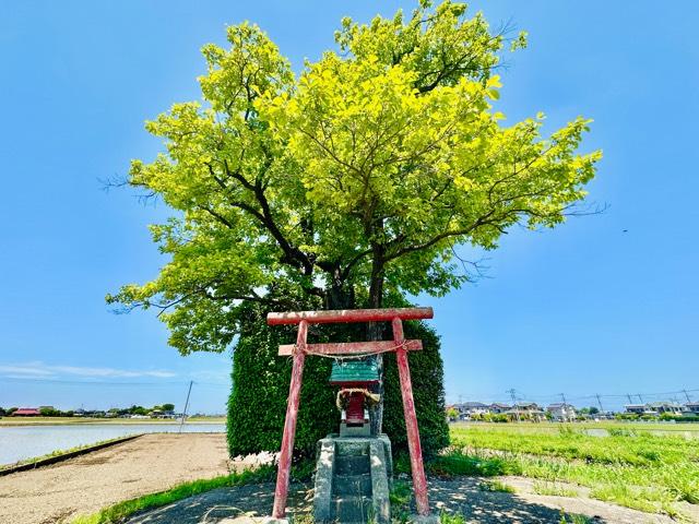 茨城県つくばみらい市谷井田１９８７−３７ 神社の写真1