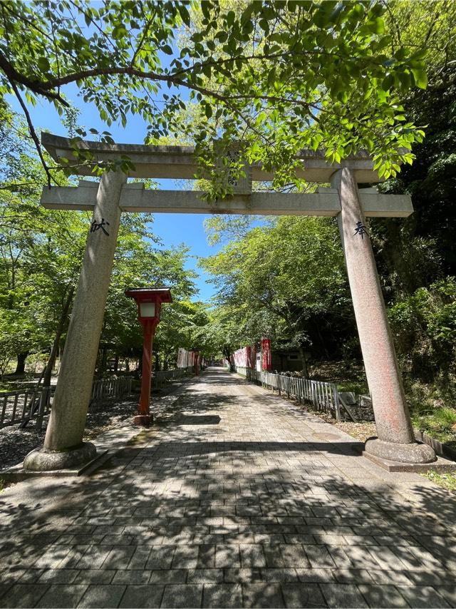 山口県長門市深川湯本門前１０７４ 長門豊川稲荷の写真4