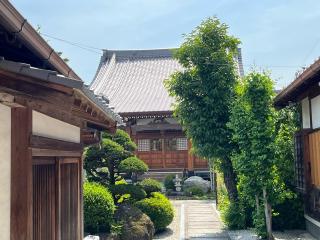 西教寺の参拝記録(ととるしさん)
