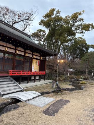 紅梅殿(北野天満宮境内)の参拝記録(⛩️🎠🐢まめ🐢🎠⛩️さん)