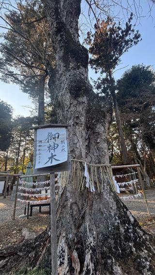 小御門神社　奥の宮の参拝記録(kenkenさん)