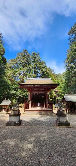 長寸神社（苗村神社東本殿）の参拝記録(®️さん)