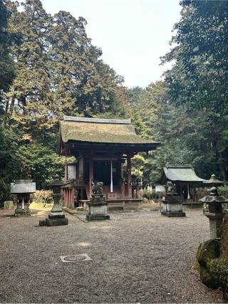 長寸神社（苗村神社東本殿）の参拝記録(やよいさん)