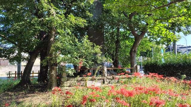 忠魂碑（白山神社境内碑）の参拝記録1