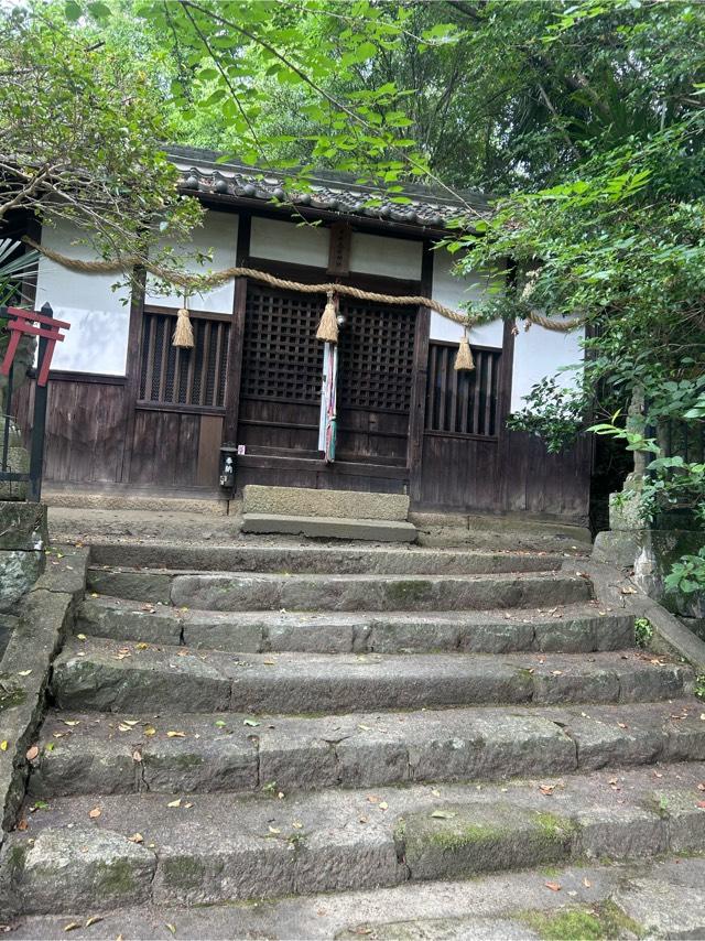 市杵嶋姫神社の写真1