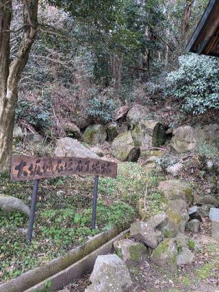 沓尾 龍日賣神社の参拝記録(こまいぬおさん)