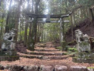国玉神社の参拝記録(ユウさん)