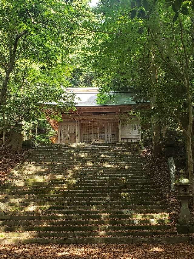 国玉神社の写真1