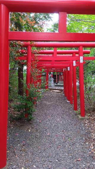 日吉稲荷神社（日吉神社境内社）の参拝記録(ひろ神社仏閣さん)