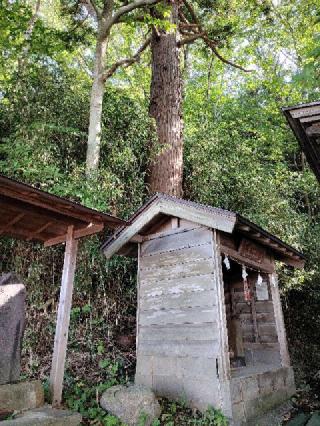 唐松神社(太子神社境内)の参拝記録(ゆずさん)