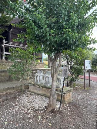 稲荷社（高部屋神社境内社）の参拝記録(⛩️🐍🐢まめ🐢🐍⛩️さん)