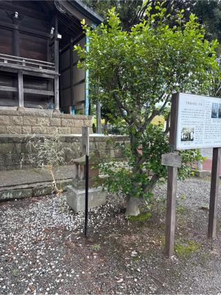 水神(高部屋神社境内社)の参拝記録(⛩️🐍🐢まめ🐢🐍⛩️さん)