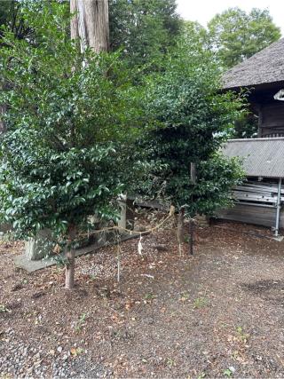 庚申供養塔の参拝記録(⛩️🐍🐢まめ🐢🐍⛩️さん)