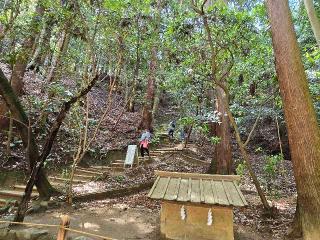 薬井戸(狭井神社境内)の参拝記録(tayohさん)