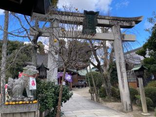 夫婦欅（三輪坐恵比須神社境内）の参拝記録(恭子さん)