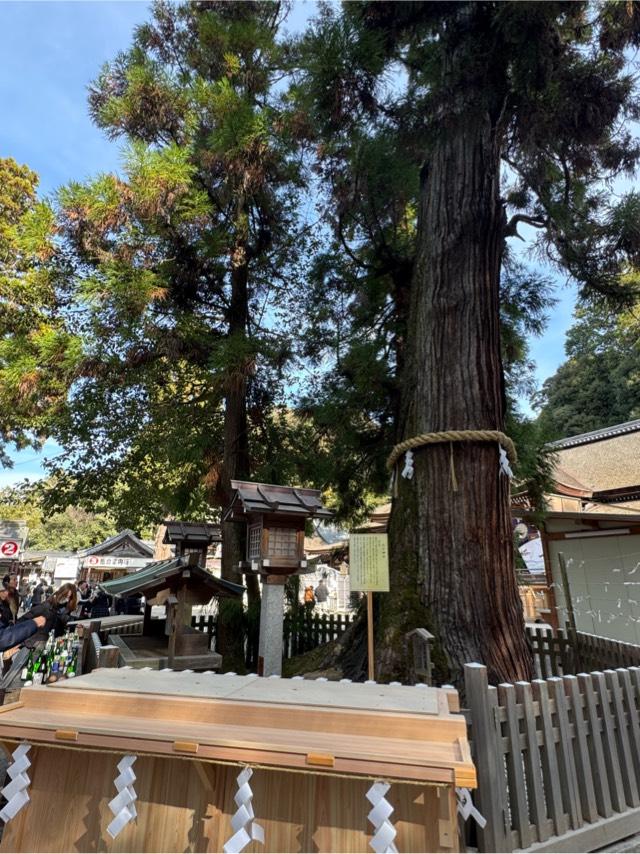 清明殿（大神神社境内）の参拝記録3